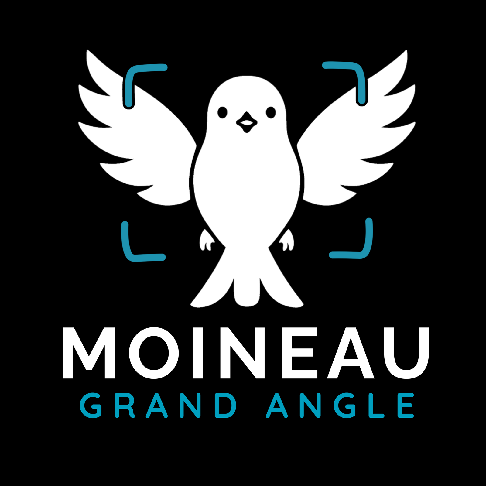 Moineau Grand Angle